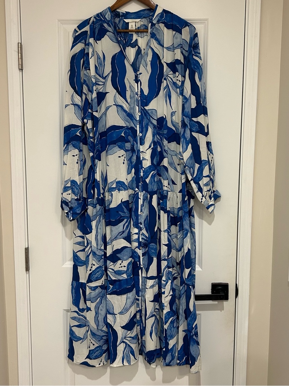 H&M Blue & White Botanical Button-Front Maxi Dress